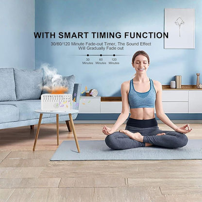 4 in 1 White Noise Sound Machine  Humidifier Diffuser