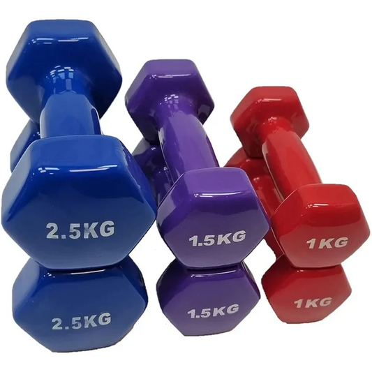 Dumbbell Set with carry case