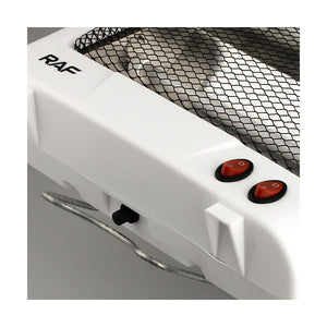 Raf 800W Electric Mini Room Heater for Home, Office R1199 R1190